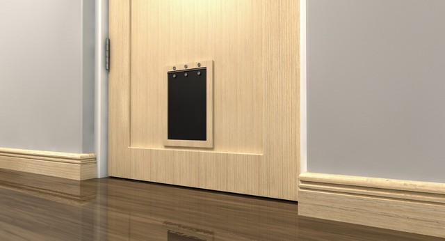 Cat Flap Installation Bloomsbury, Gray's Inn, WC1