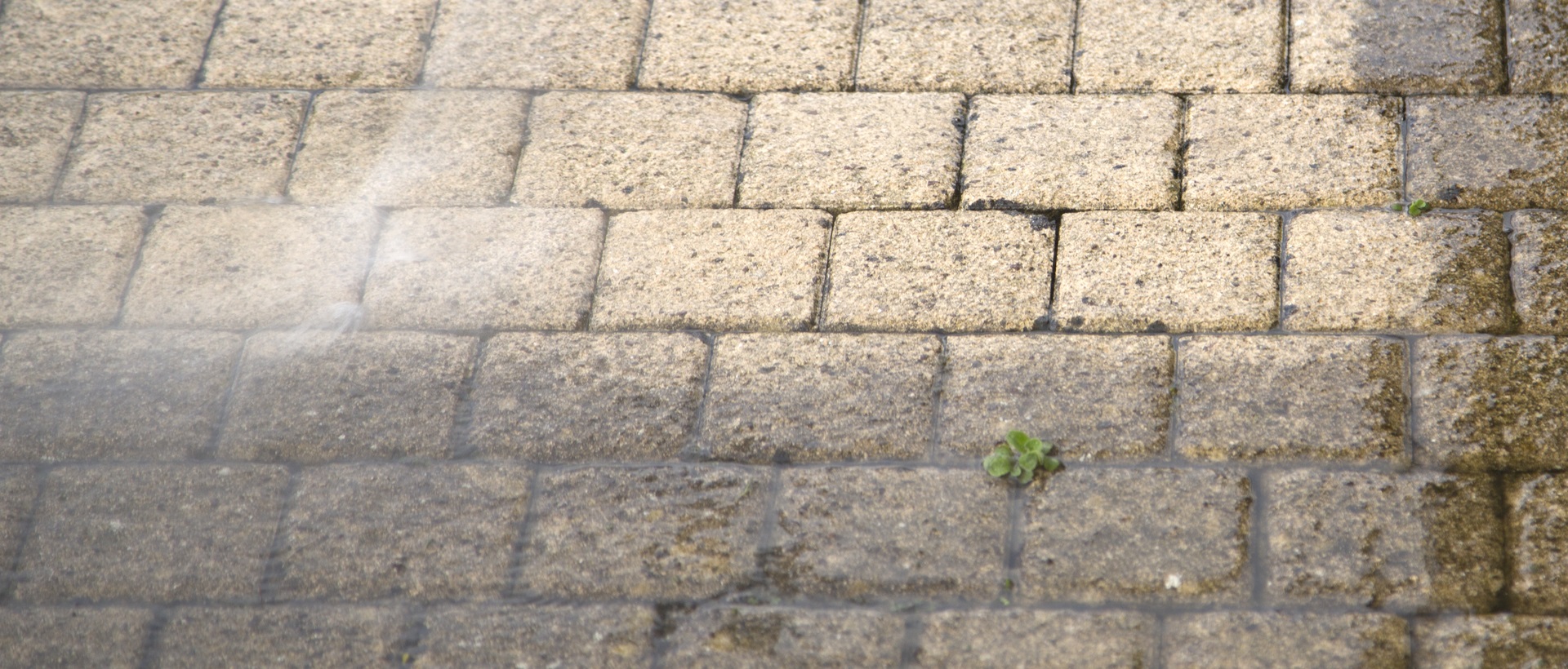 flagging and patios WC1